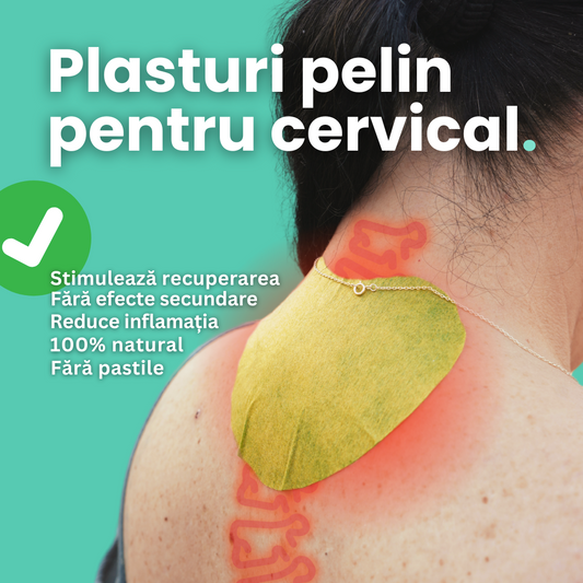 Plasturi din pelin pentru dureri de gat - 48 de bucati