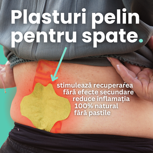 Plasturi din pelin pentru dureri de spate - 48 de bucati