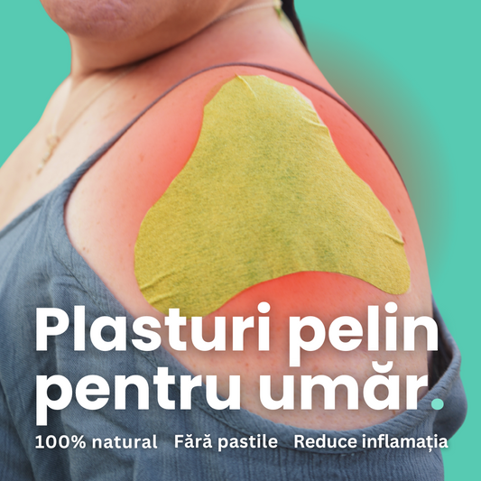 Plasturi din pelin pentru dureri de umar - 48 de bucati