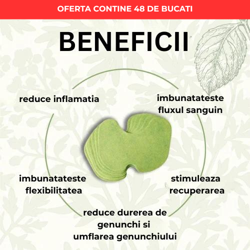 PLASTURI DIN PELIN - 48 de bucati