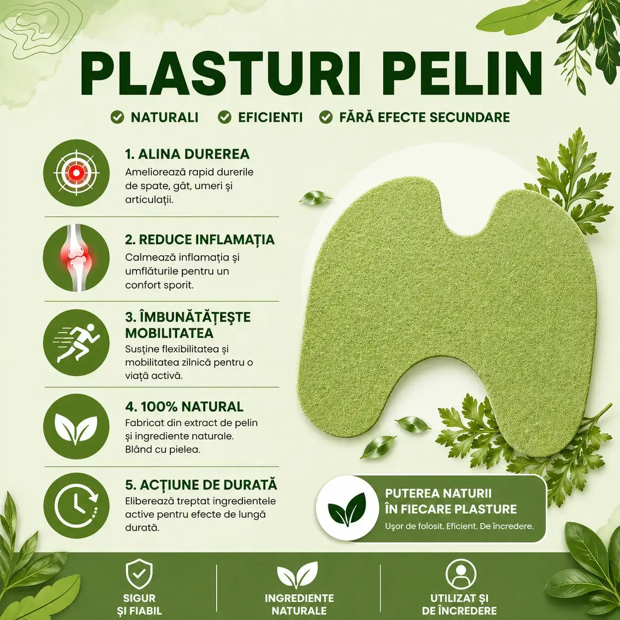 Plasturi din pelin ---