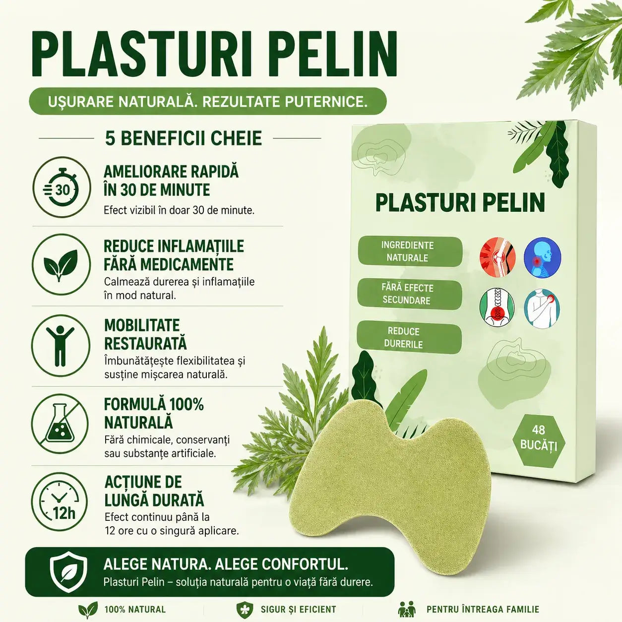 Plasturi din pelin ---