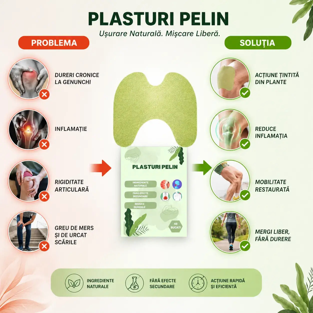 Plasturi din pelin ---