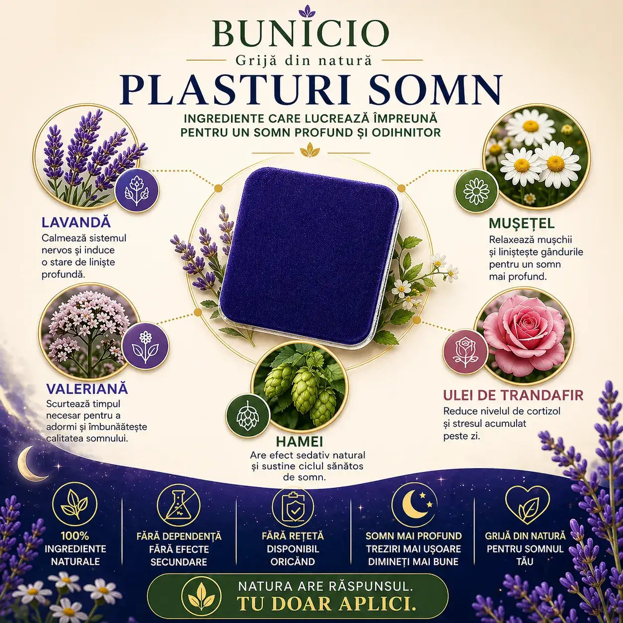 PLASTURI PENTRU SOMN