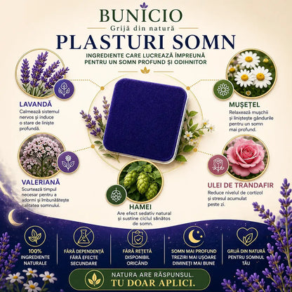 PLASTURI PENTRU SOMN