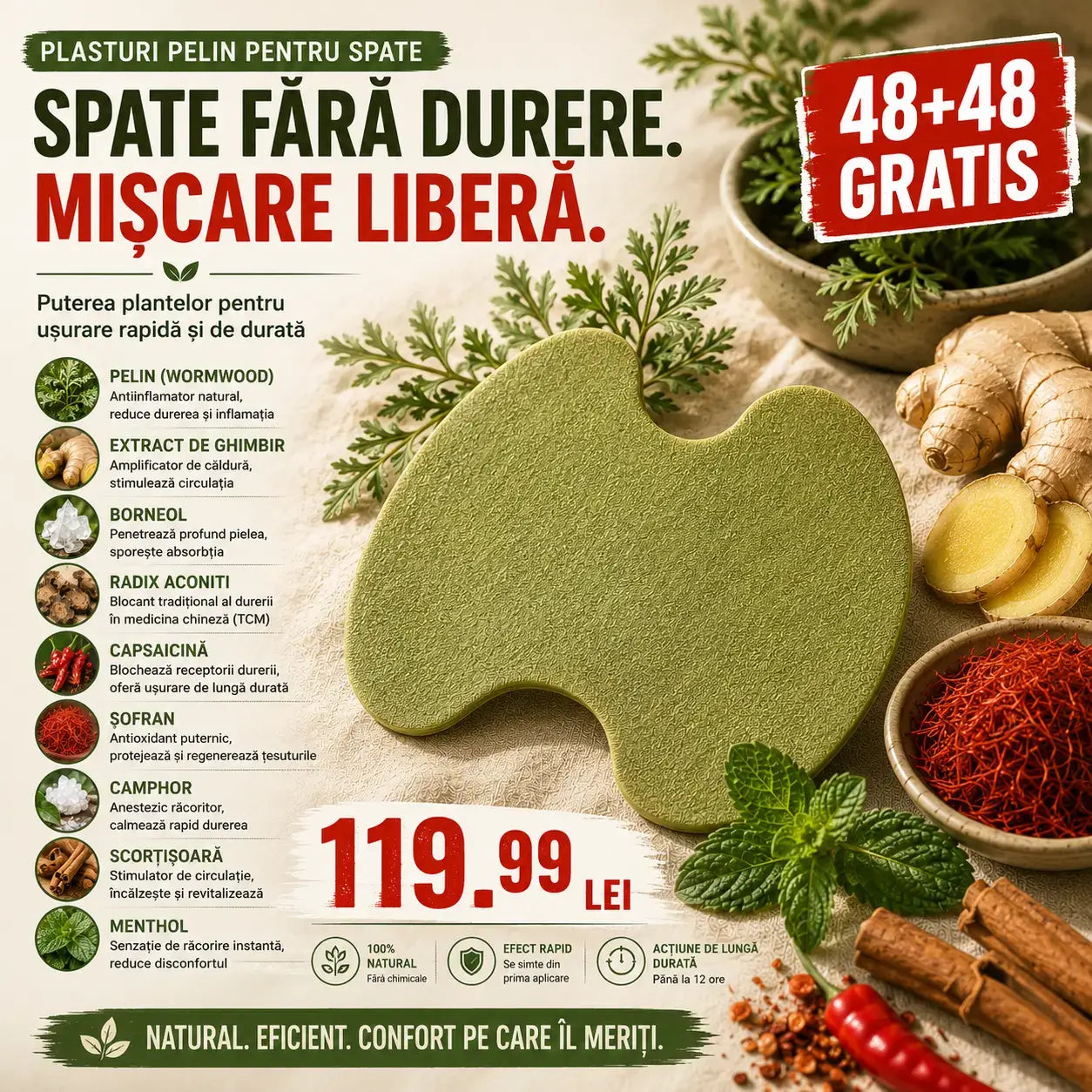 Plasturi pelin spate