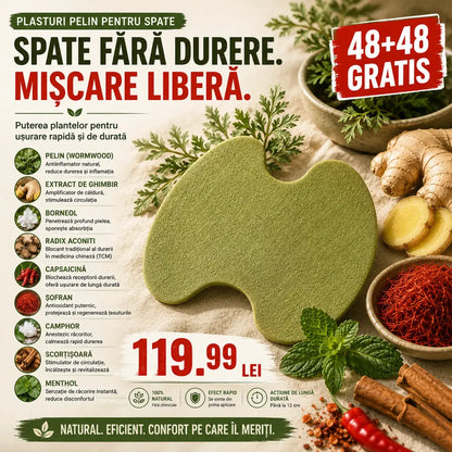 Plasturi pelin spate