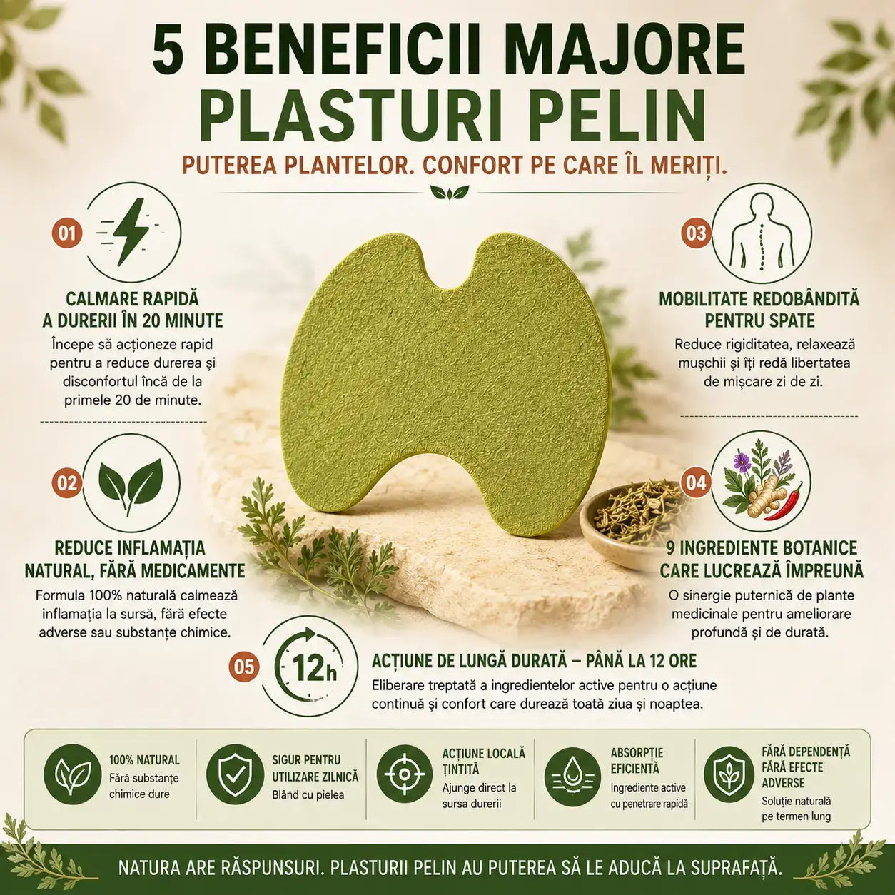Plasturi pelin spate