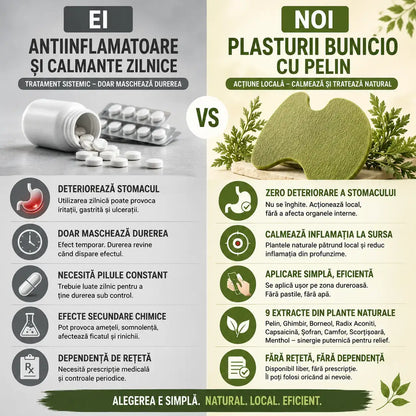 Plasturi pelin spate