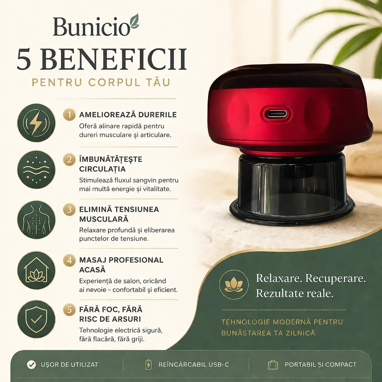 Ventuza Electrica pentru Masaj